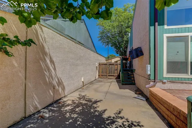a view of backyard with a potted plant