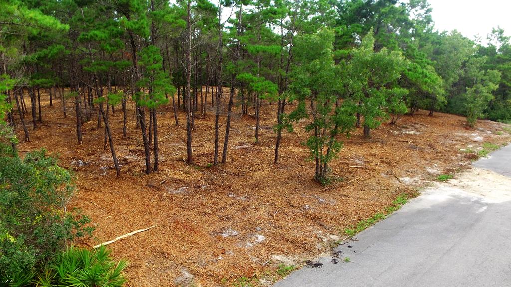 131 Shell Bay Court Carrabelle, FL 32322 - Photo 1 of 15 Gallery Image 1