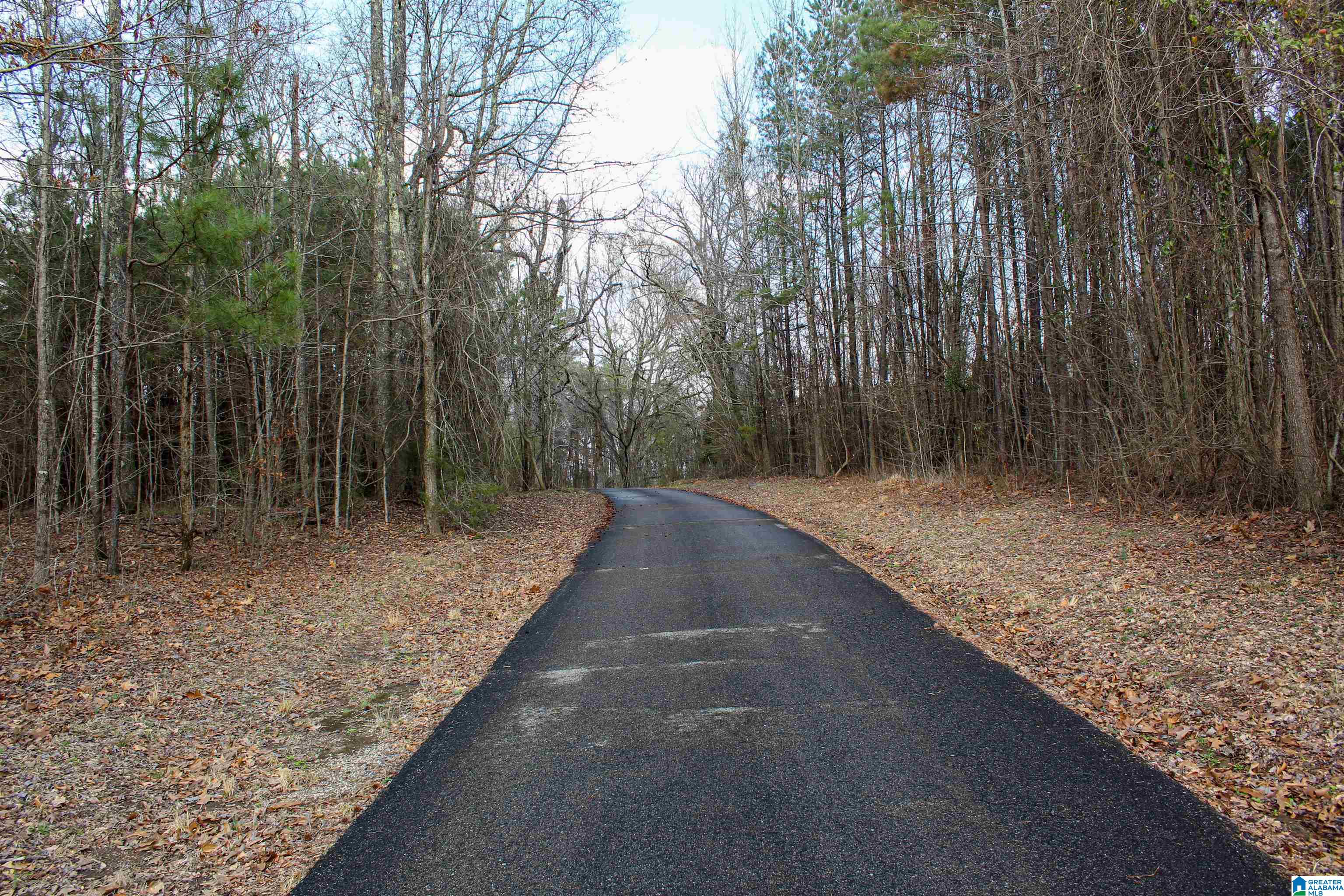 2327 Jett Town Road Mulga, AL 35118 - Photo 20 of 33