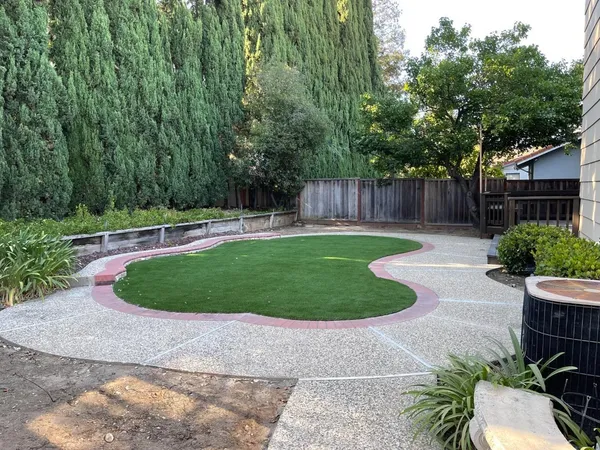 a view of a backyard