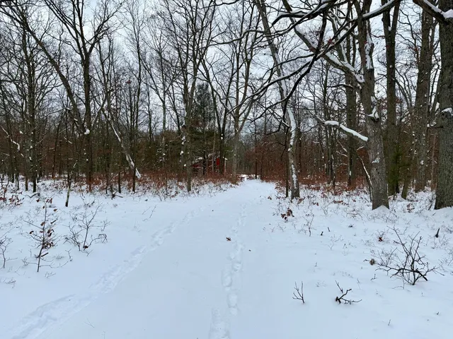 $219,000 | 8191 North Morton, Free Soil, MI 49411