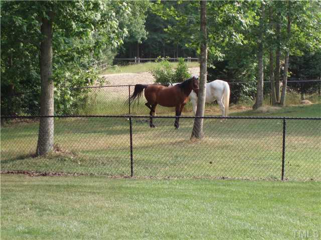 7700 Secluded Acres Road Apex, NC 27523 - Photo 6 of 6 THEY DO NOT HAVE HORSES BUT SOMEONE COULD.