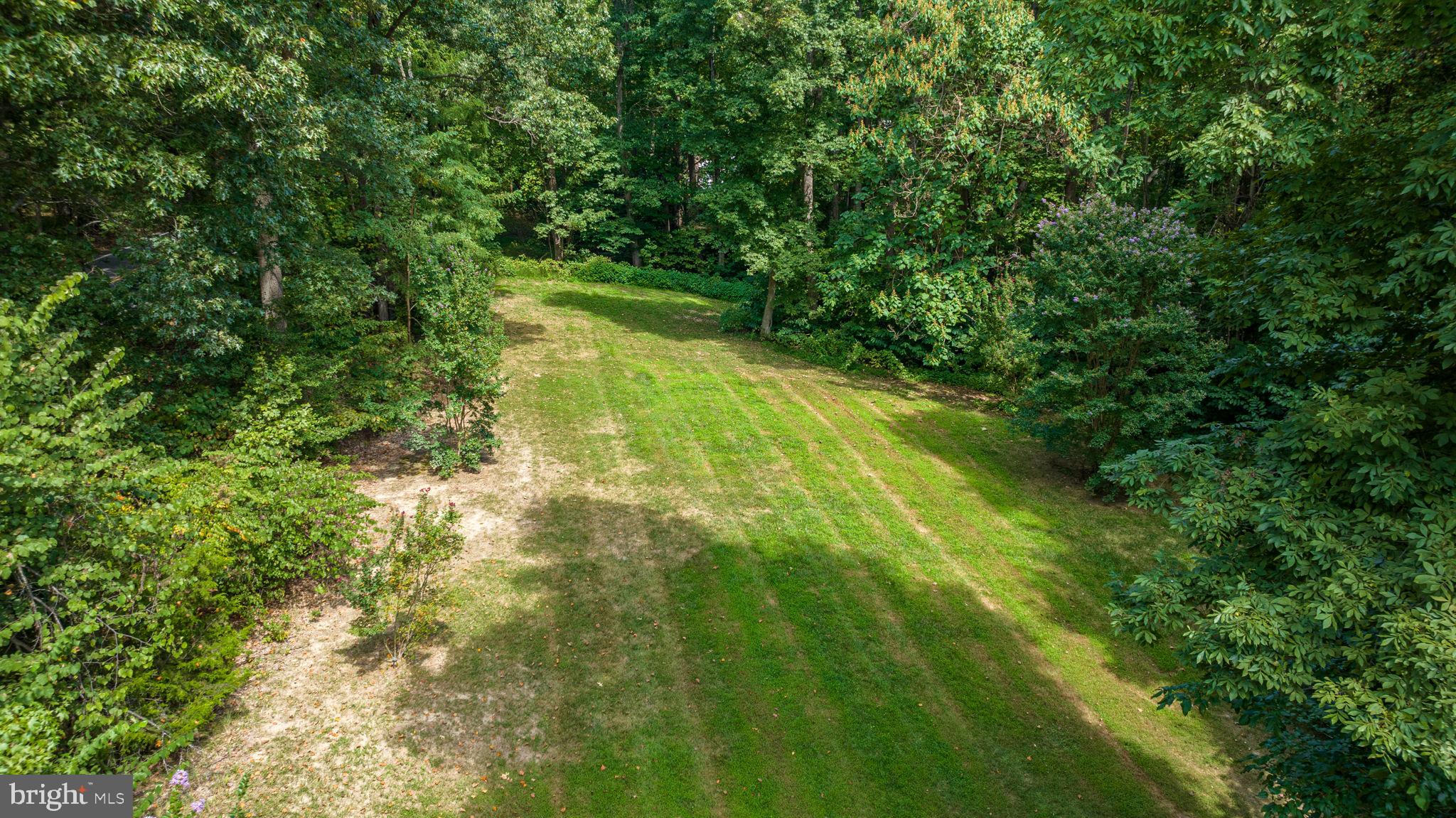 6904 North Stuart Road King George, VA 22485 - Photo 41 of 47 a view of yard with green space