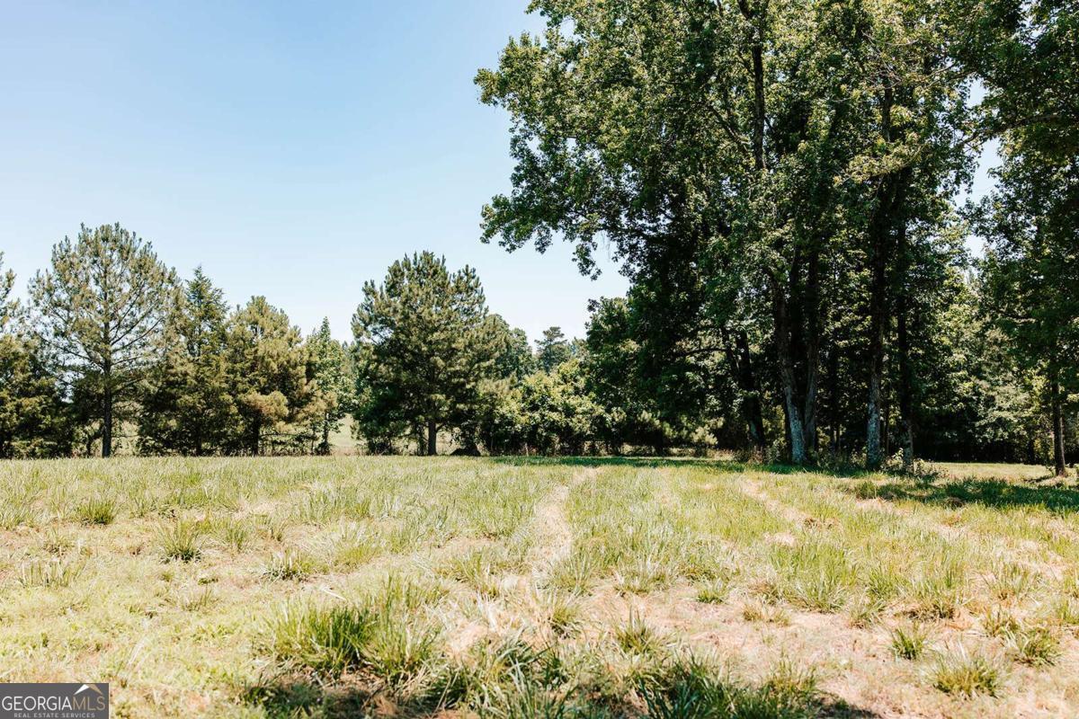 0 Mitchell Farm Road Colbert, GA 30628 - Photo 22 of 45