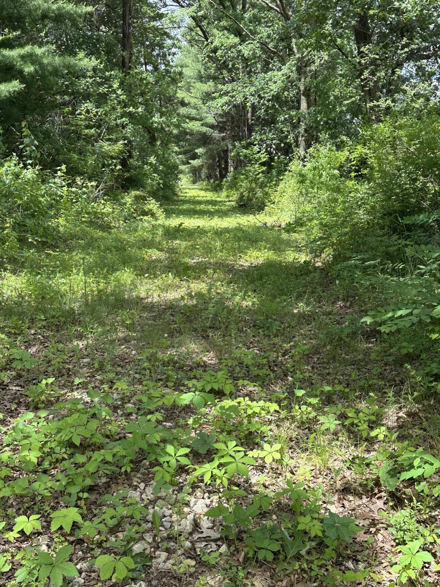 N9273 Perkins Road Mindoro, WI 54644 - Photo 2 of 14 IMG_4277
