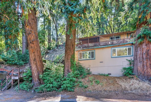 a view of a house with large tree
