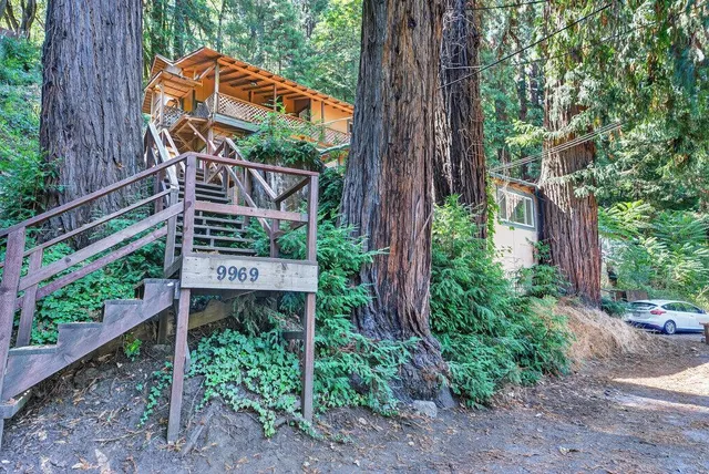a backyard of a house with lots of green space