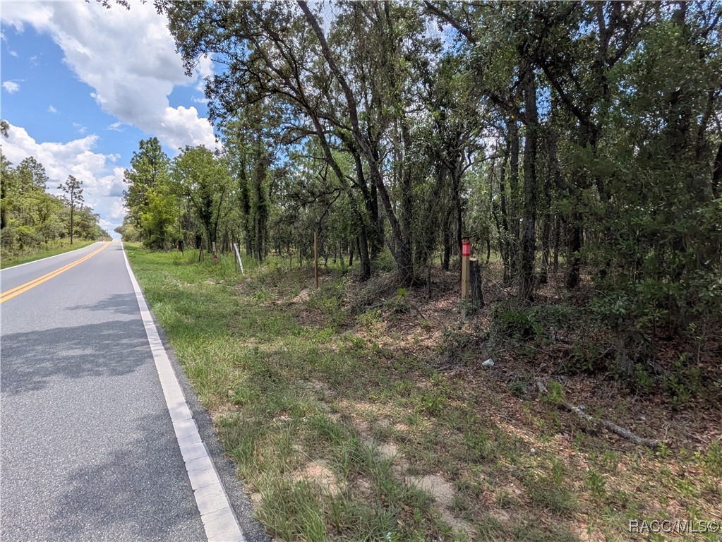 0 Northwest Ridgewood Road Dunnellon, FL 34431 - Photo 12 of 13 Land markers are across and to the left of lot 25