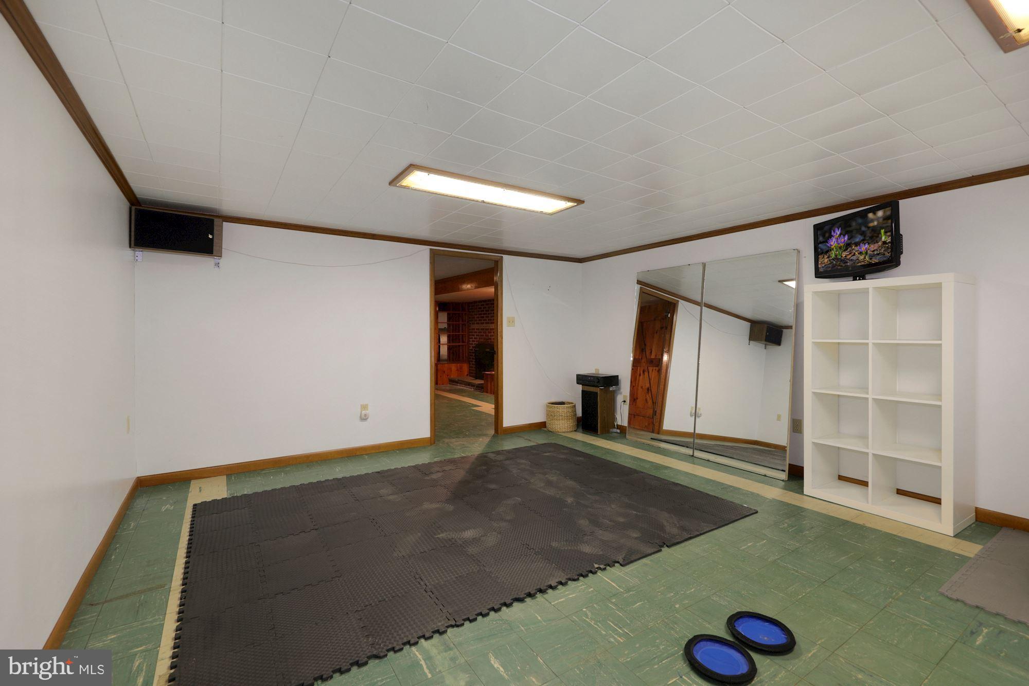 9808 Hawkins Creamery Road Damascus, MD 20872 - Photo 27 of 34 Bonus room in basement