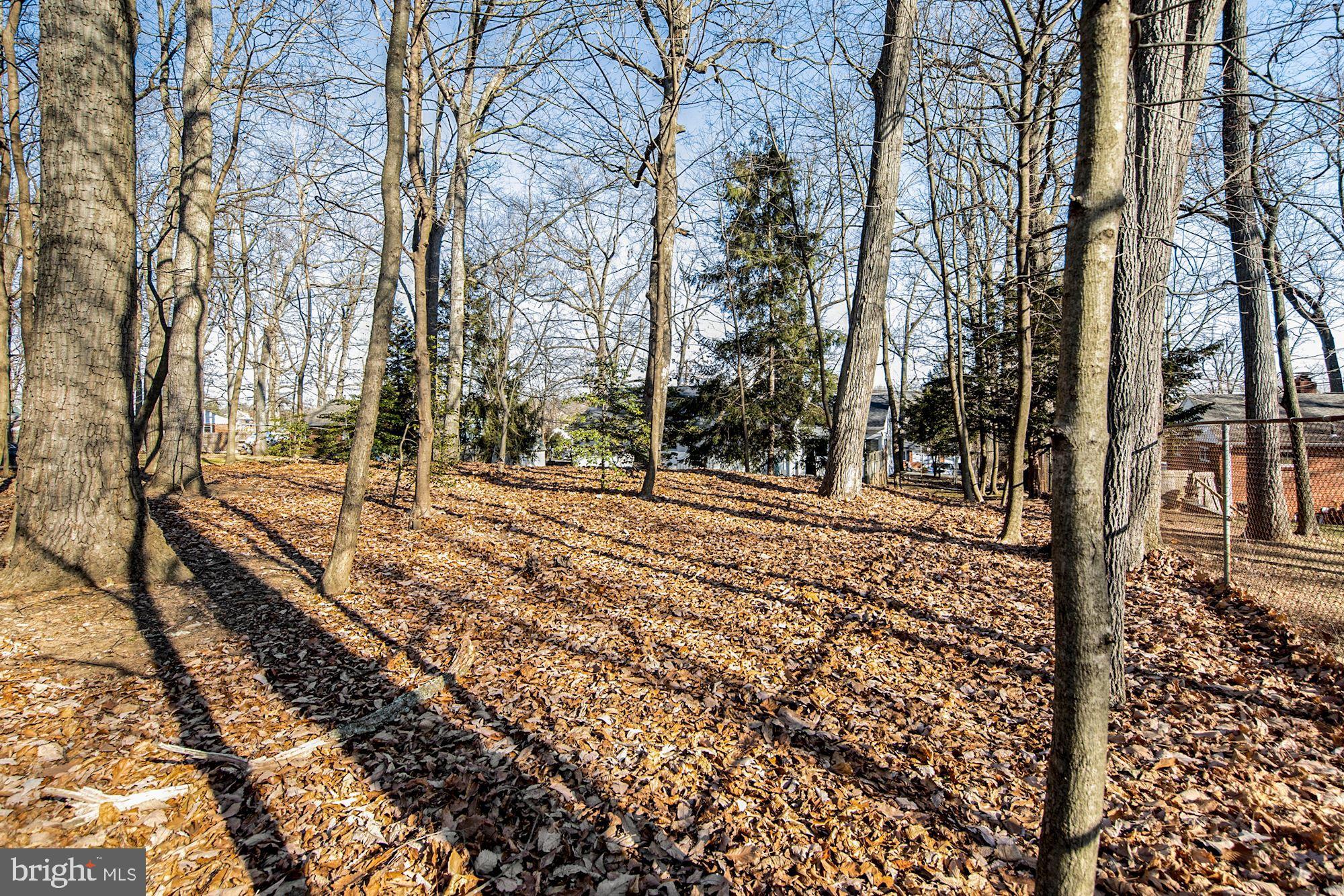 9808 Hawkins Creamery Road Damascus, MD 20872 - Photo 29 of 34 Private wooded yarded