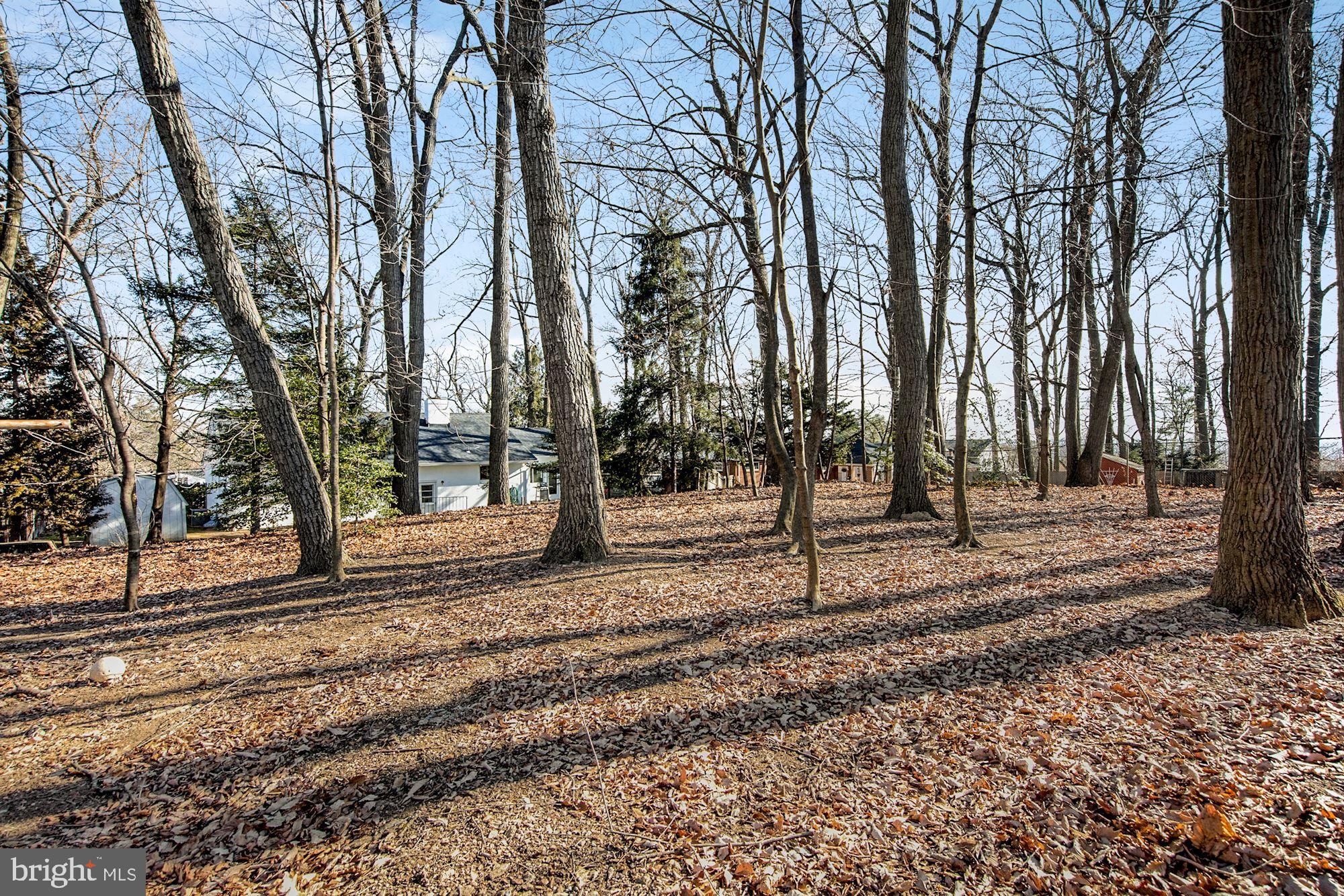 9808 Hawkins Creamery Road Damascus, MD 20872 - Photo 5 of 34 Large fenced in wooded yard