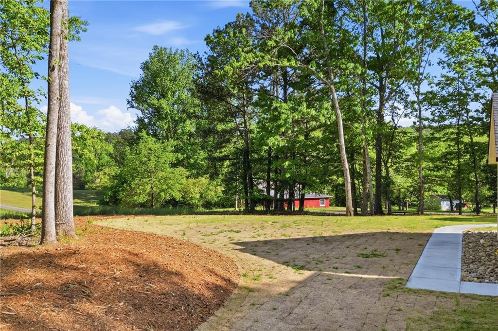 2606 Lower Bethany Road Ball Ground, GA 30107 - Photo 68 of 70