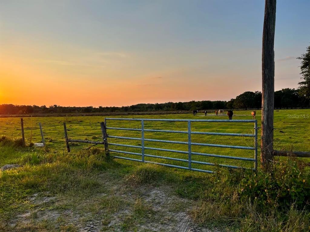 45855 Clay Gully Road Myakka City, FL 34251 - Photo 11 of 12
