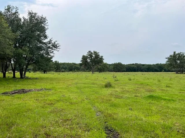 $875,000 | 45855 Clay Gully Road, Myakka City, FL 34251