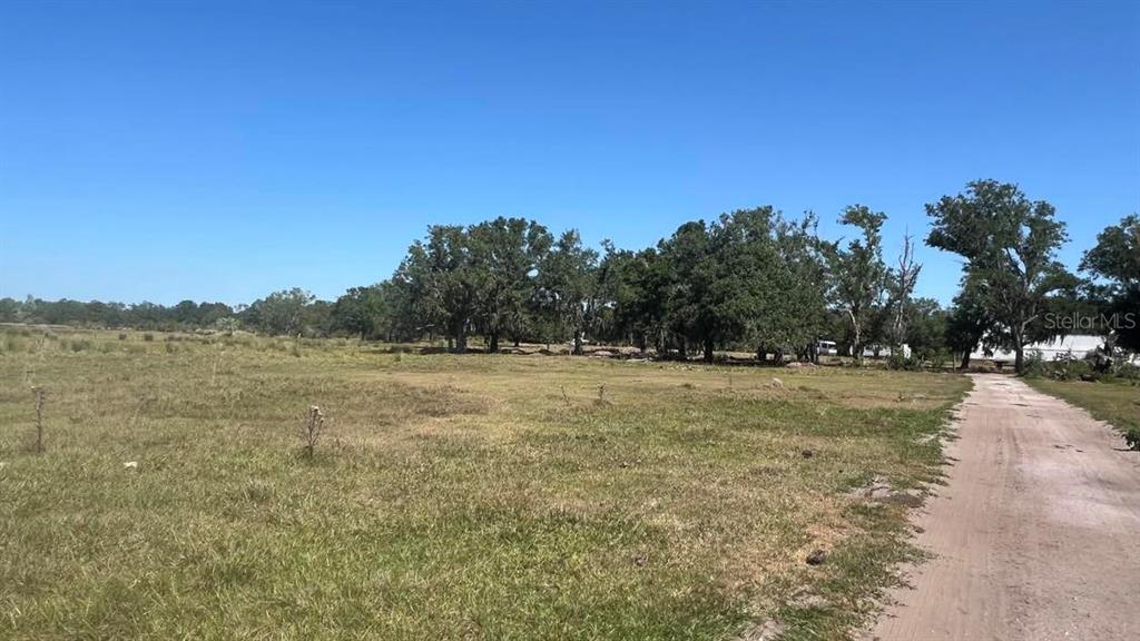 45855 Clay Gully Road Myakka City, FL 34251 - Photo 14 of 15