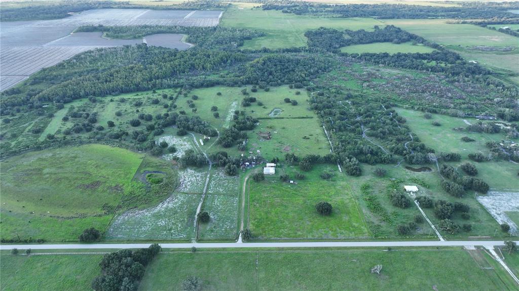 45855 Clay Gully Road Myakka City, FL 34251 - Photo 3 of 15