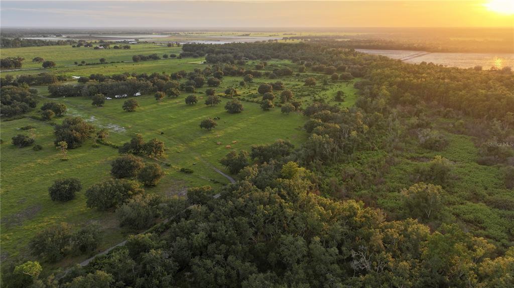 45855 Clay Gully Road Myakka City, FL 34251 - Photo 3 of 12