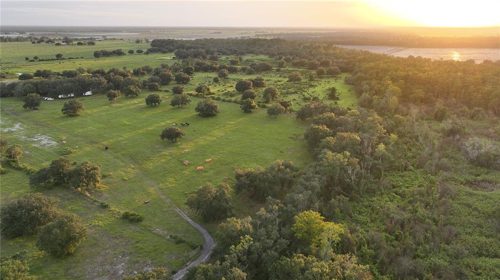 45855 Clay Gully Road Myakka City, FL 34251 - Photo 4 of 12