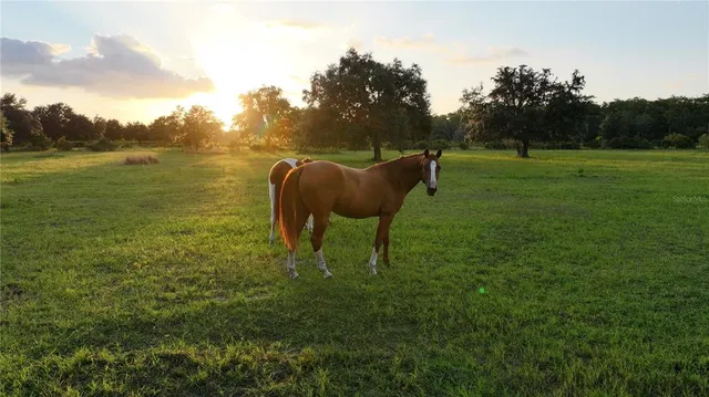 $875,000 | 45855 Clay Gully Road, Myakka City, FL 34251