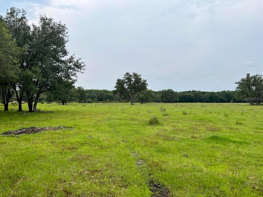 45855 Clay Gully Road Myakka City, FL 34251 - Photo 7 of 12