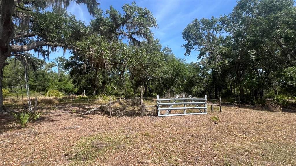 45855 Clay Gully Road Myakka City, FL 34251 - Photo 8 of 12