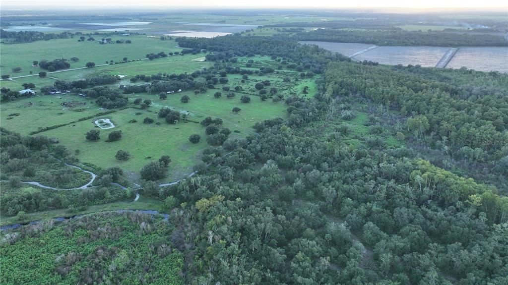 45855 Clay Gully Road Myakka City, FL 34251 - Photo 9 of 15
