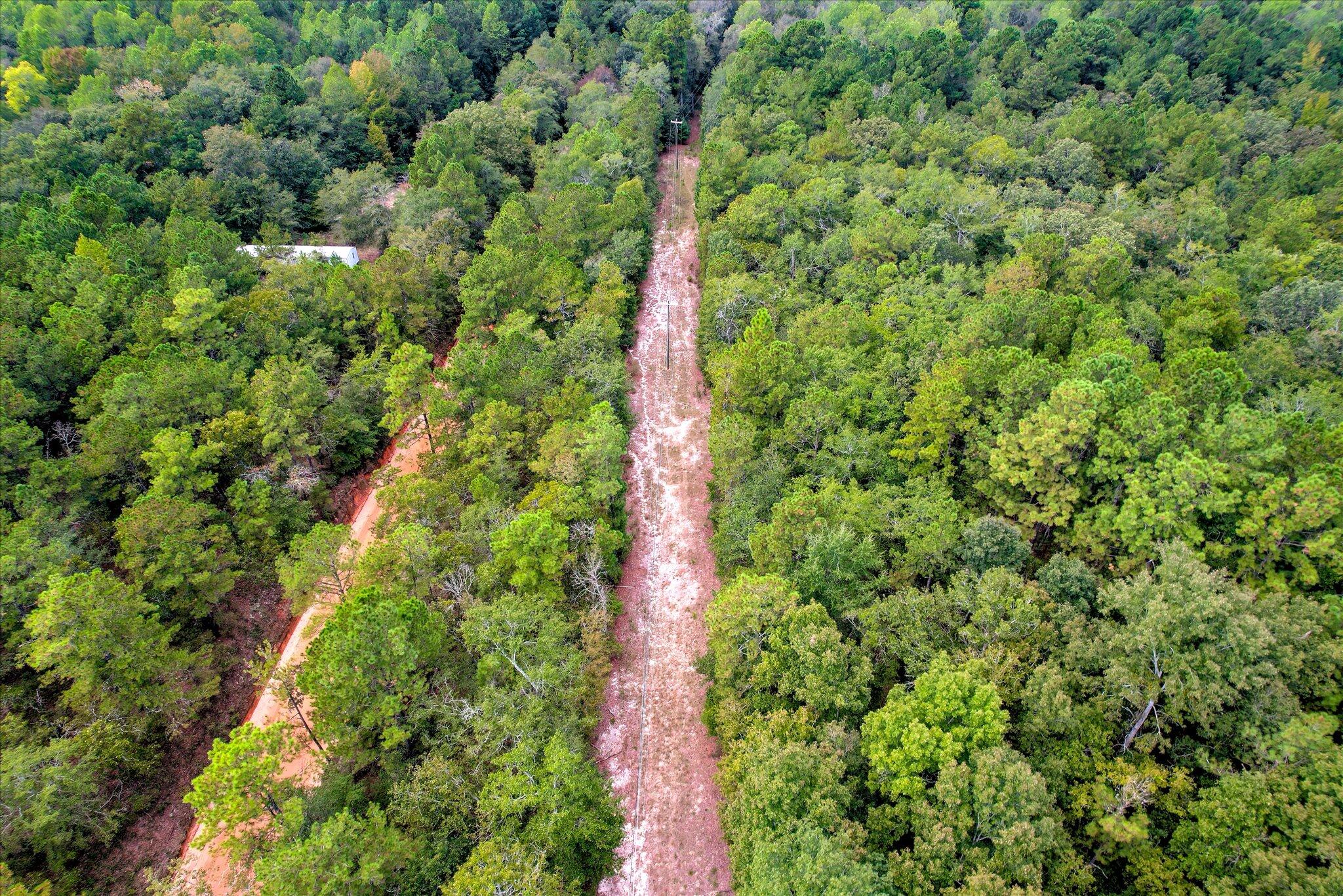 001 A Centerwood Road Williston, SC 29853 - Photo 8 of 19