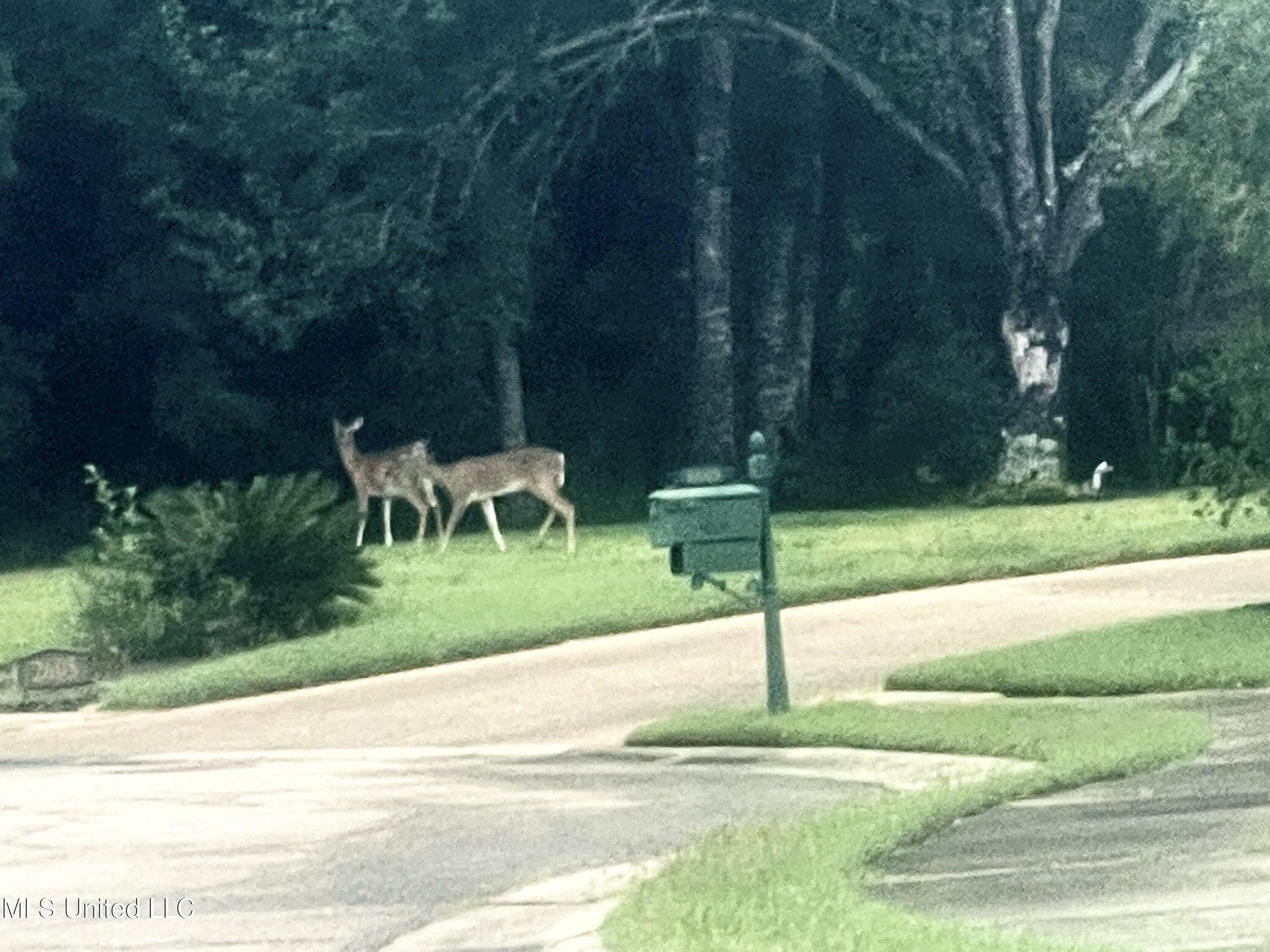 0 Shell Landing Boulevard Gautier, MS 39553 - Photo 12 of 31 Lookers