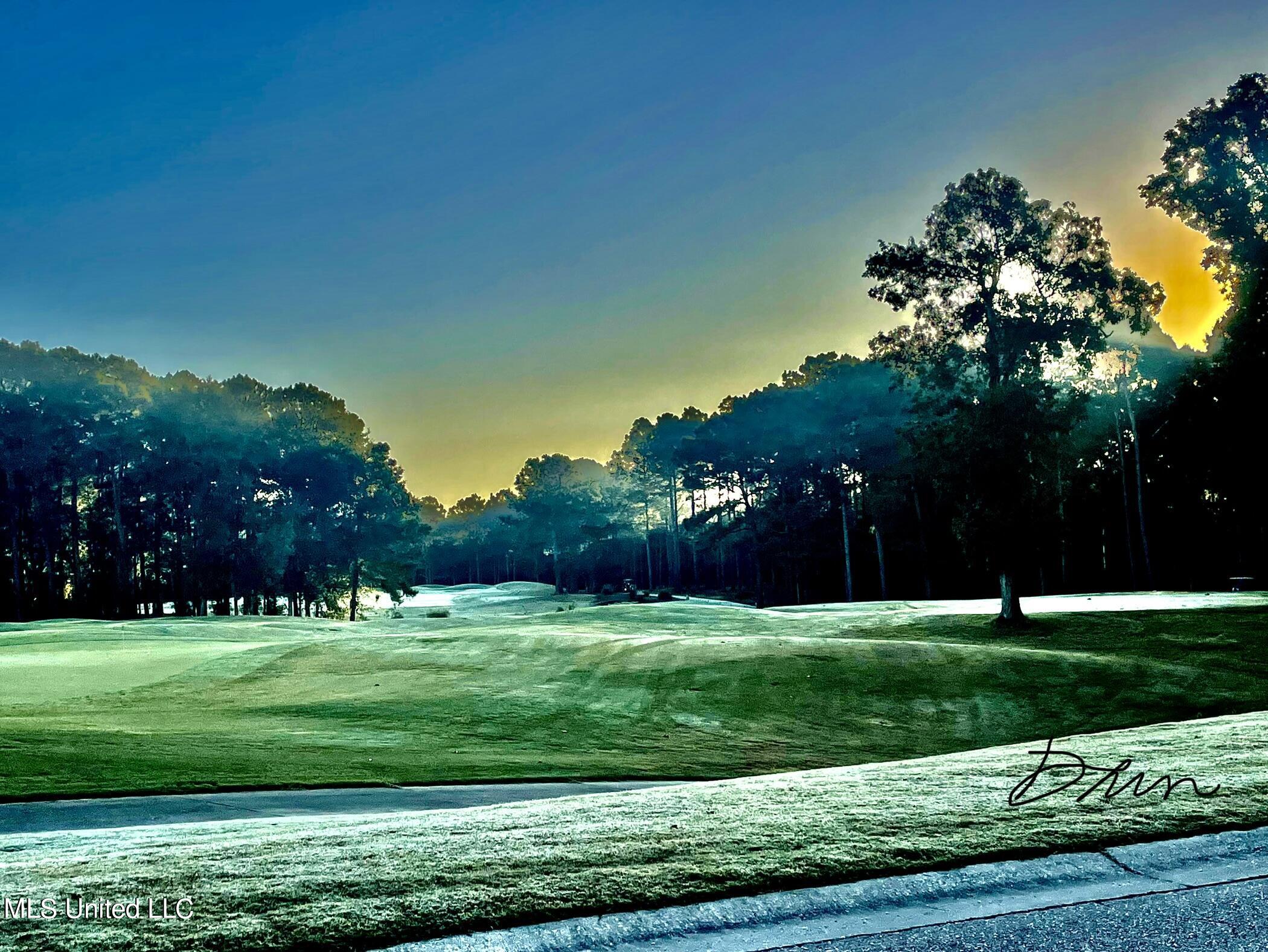 0 Shell Landing Boulevard Gautier, MS 39553 - Photo 22 of 31 Early tee time