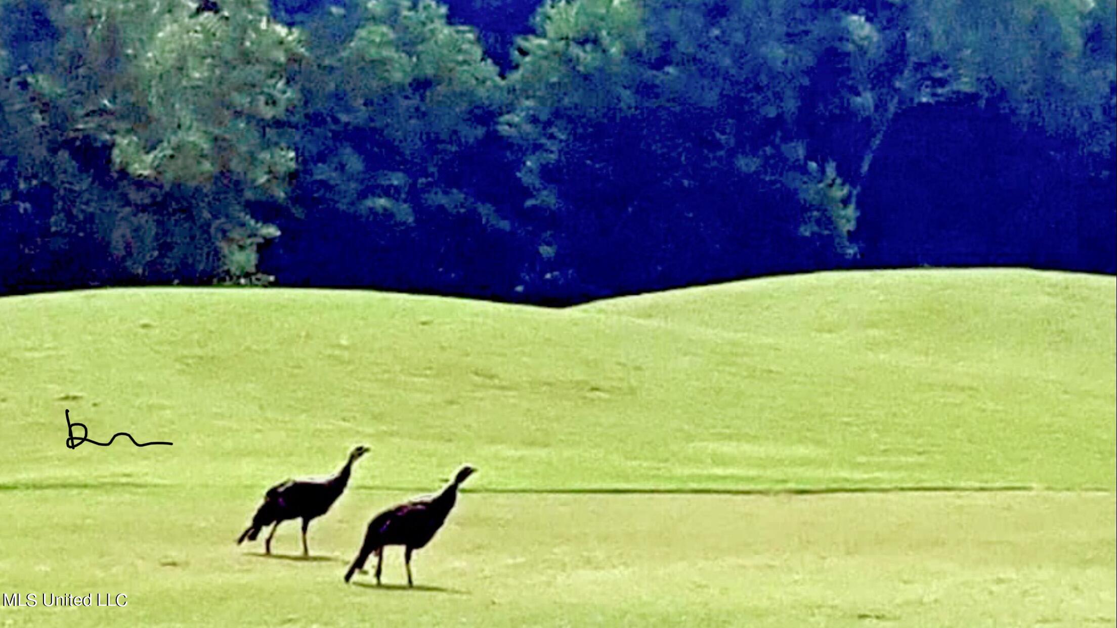 0 Shell Landing Boulevard Gautier, MS 39553 - Photo 28 of 31 More Lookers
