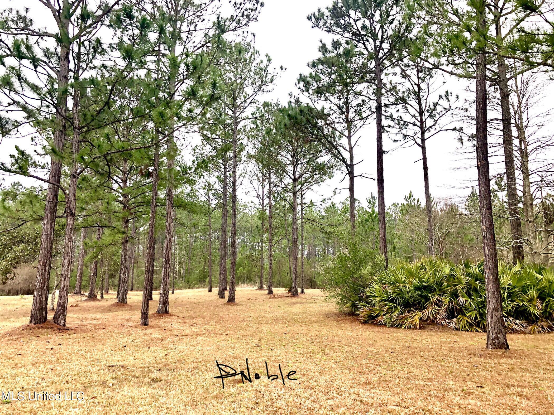 0 Shell Landing Boulevard Gautier, MS 39553 - Photo 3 of 31 Lot 75