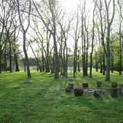 3675 Old South Road Murfreesboro, TN 37128 - Photo 15 of 20 HUGE Back Yard, Mature Trees, Fire Pit & Garden!