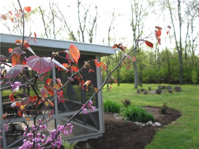 3675 Old South Road Murfreesboro, TN 37128 - Photo 19 of 20 Gallery Image 19