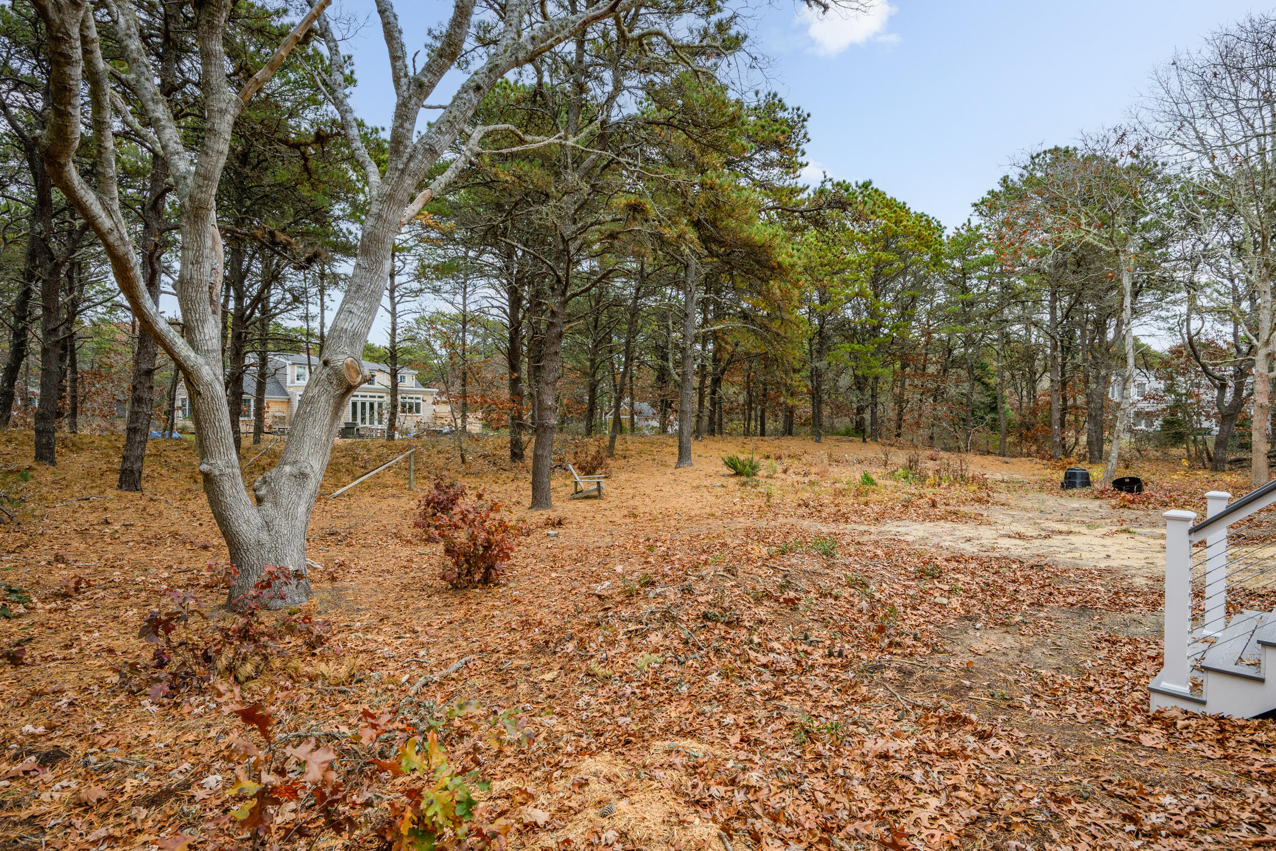 20 Billingsgate Avenue Eastham, MA 02642 - Photo 19 of 21 a view of covered with snow
