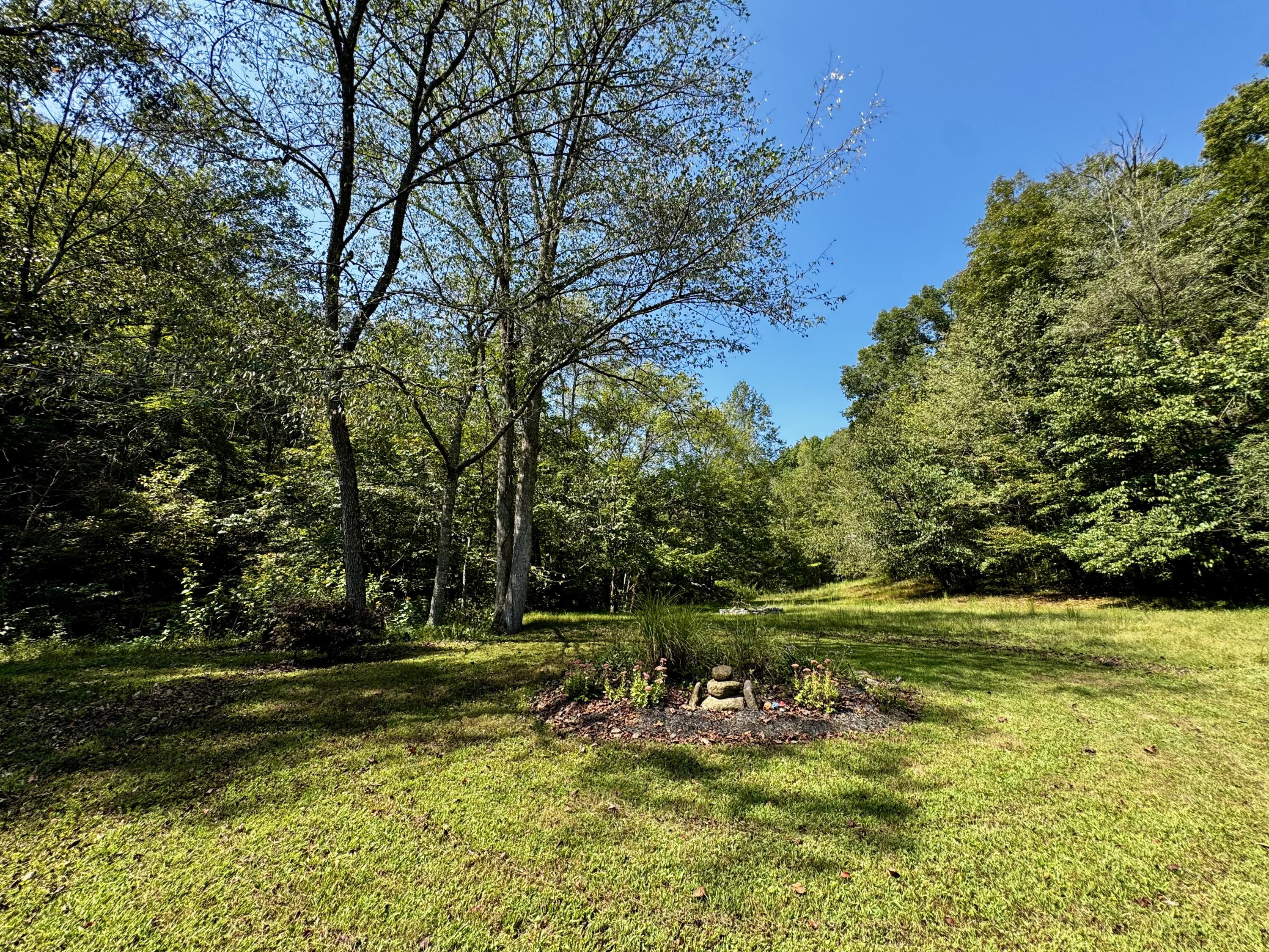690 Ansel Road Science Hill, KY 42553 - Photo 67 of 78 IMG_0498