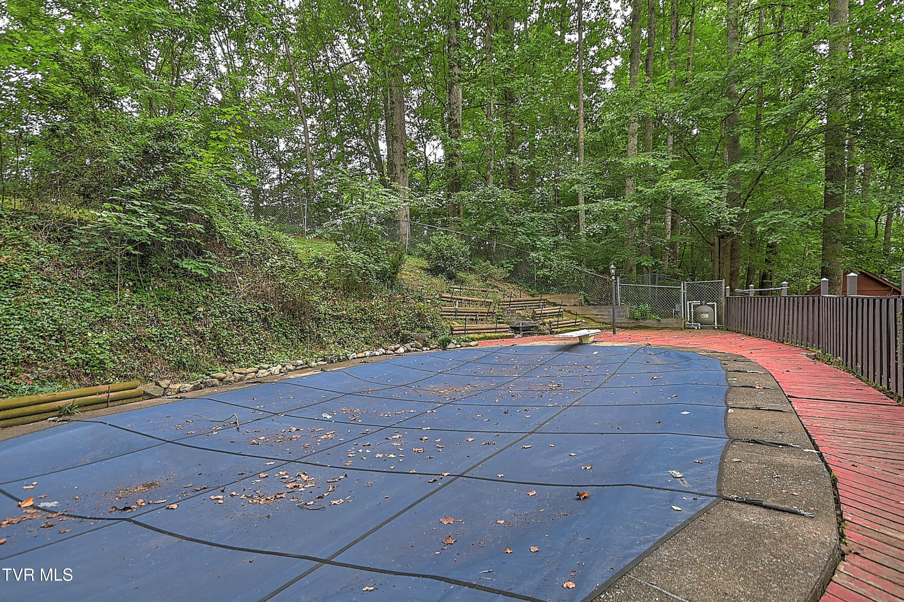 2933 Cherokee Road Johnson City, TN 37604 - Photo 45 of 62 2933 Cherokee BK-46