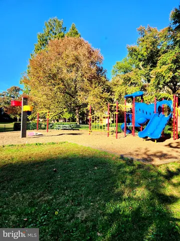 a view of road with large trees