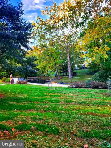 a view of a park with large trees
