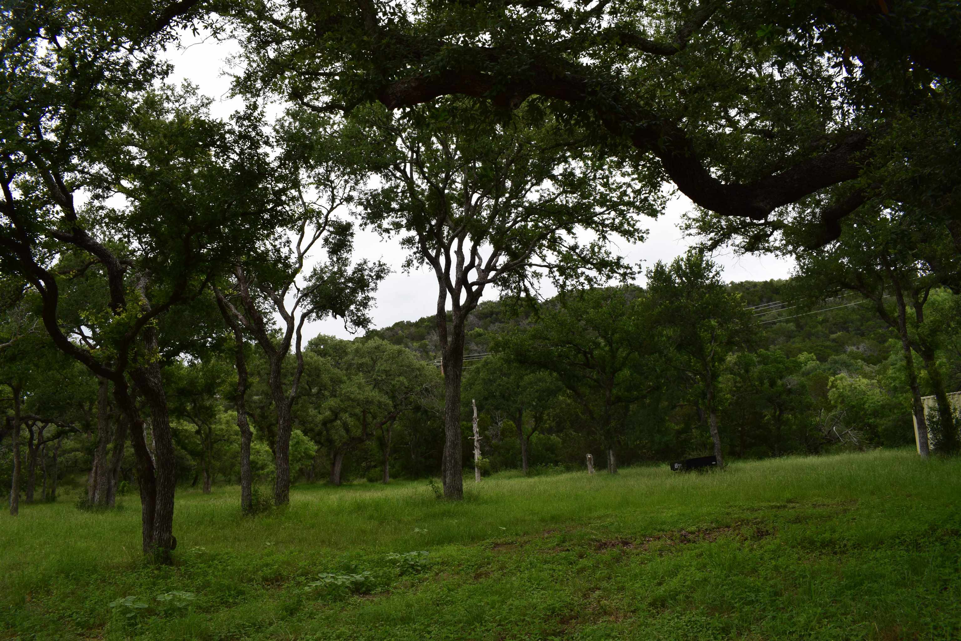 10430 Ranch Road 2341 Burnet, TX 78611 - Photo 7 of 11 a view of a grassy field with trees