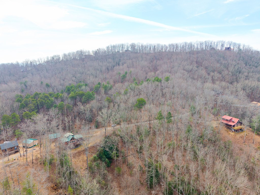 52 B Forest View Murphy, NC 28906 - Photo 11 of 13
