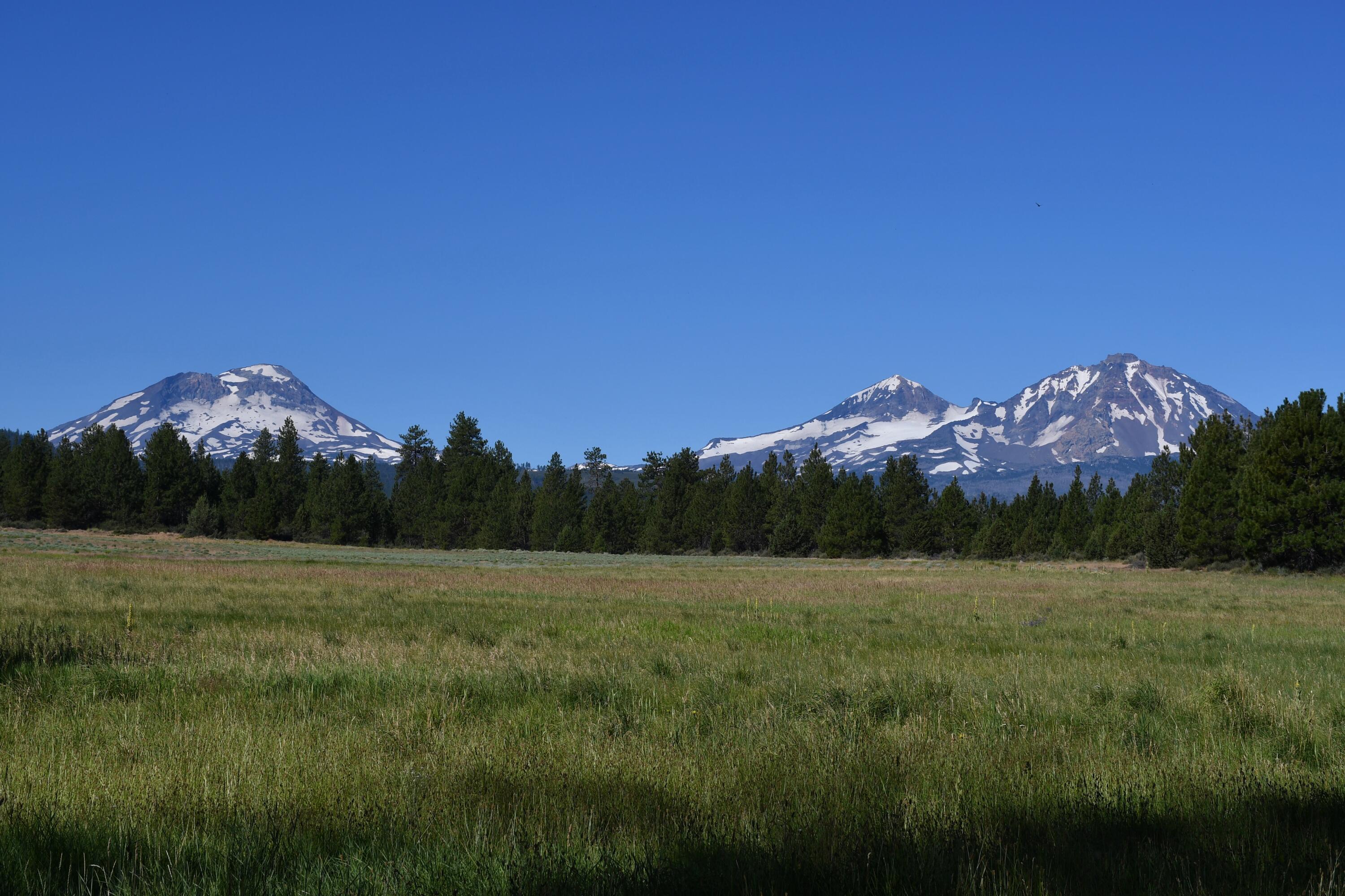 67500 Three Creek Road Sisters, OR 97759 - Photo 14 of 40 a view of a grassy area with an trees