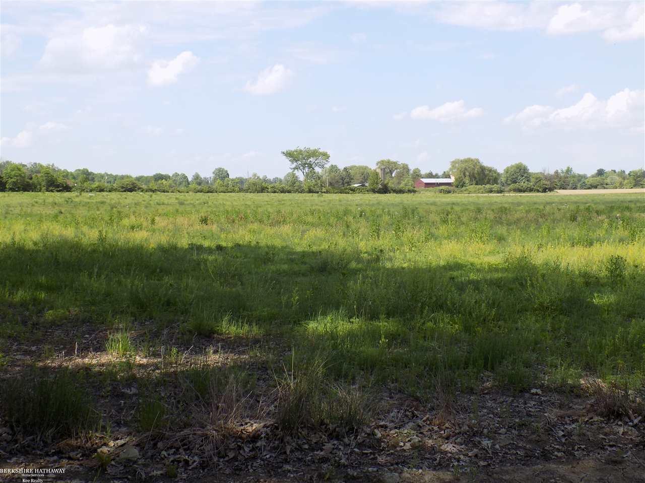 0 Cowhey Road Memphis, MI 48041 - Photo 9 of 13