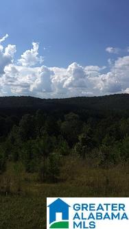 Bluff Springs Road Ashland, AL 36251 - Photo 10 of 12