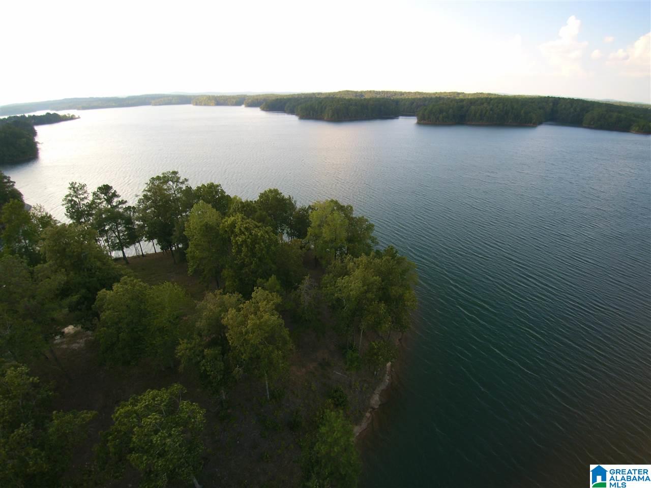 Tranquility Lane Wedowee, AL 36278 - Photo 2 of 13