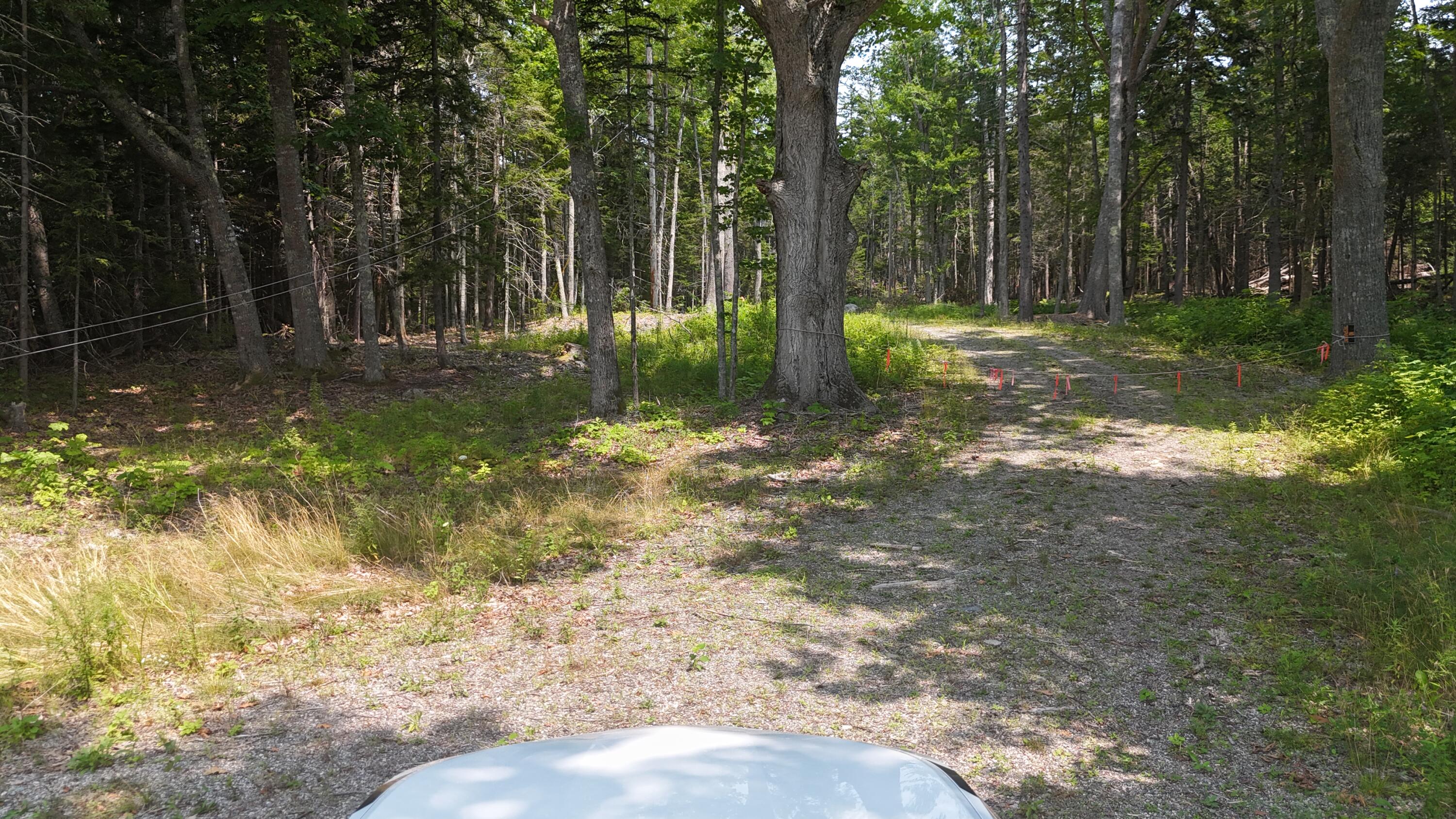 1920 Highway 1 Sullivan, ME 04664 - Photo 17 of 36 DJI_20240727125345_0142_D