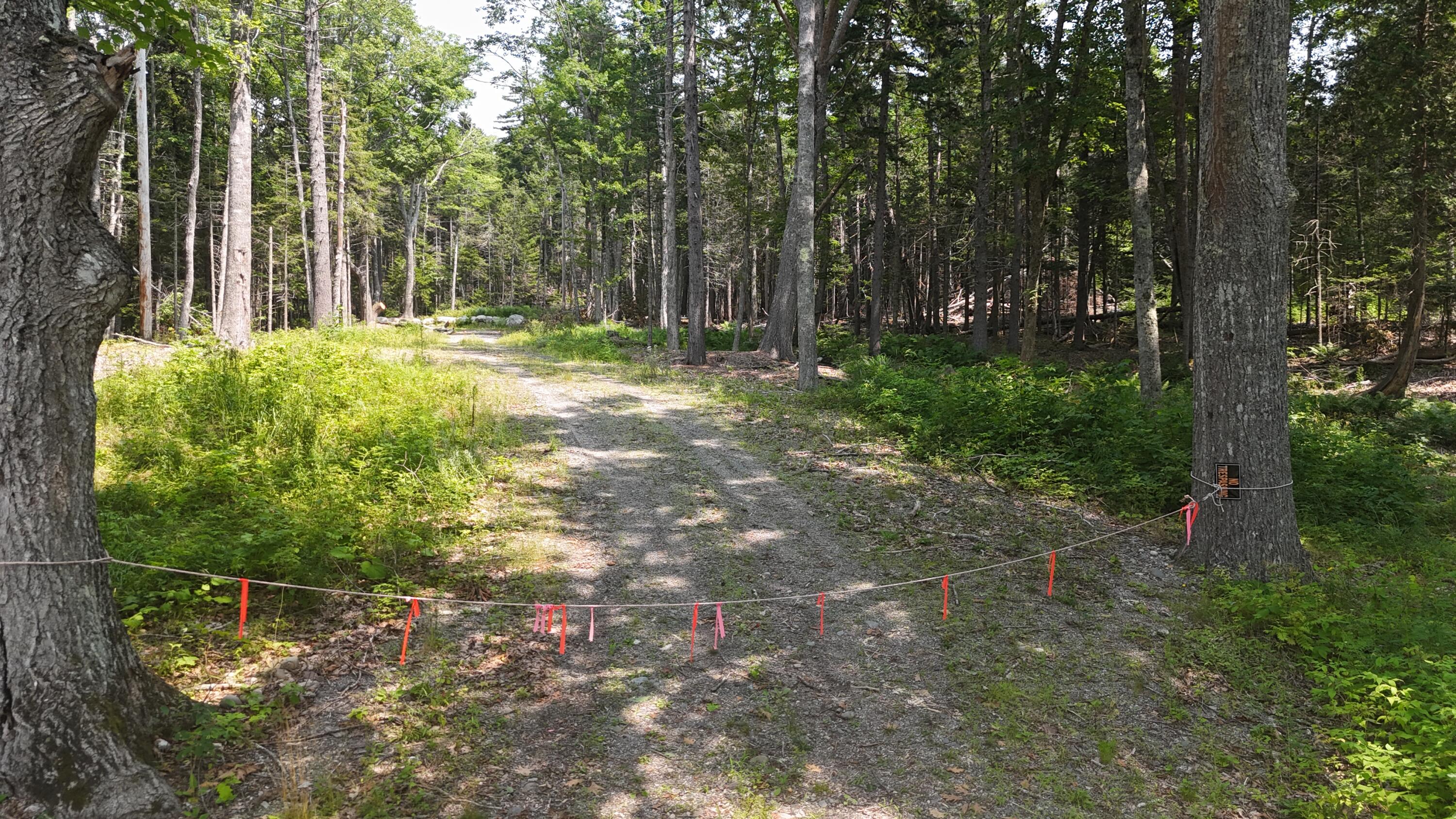 1920 Highway 1 Sullivan, ME 04664 - Photo 18 of 36 DJI_20240727125401_0143_D