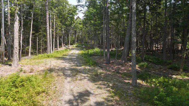 $335,000 | 1920 Highway 1, Sullivan, ME 04664