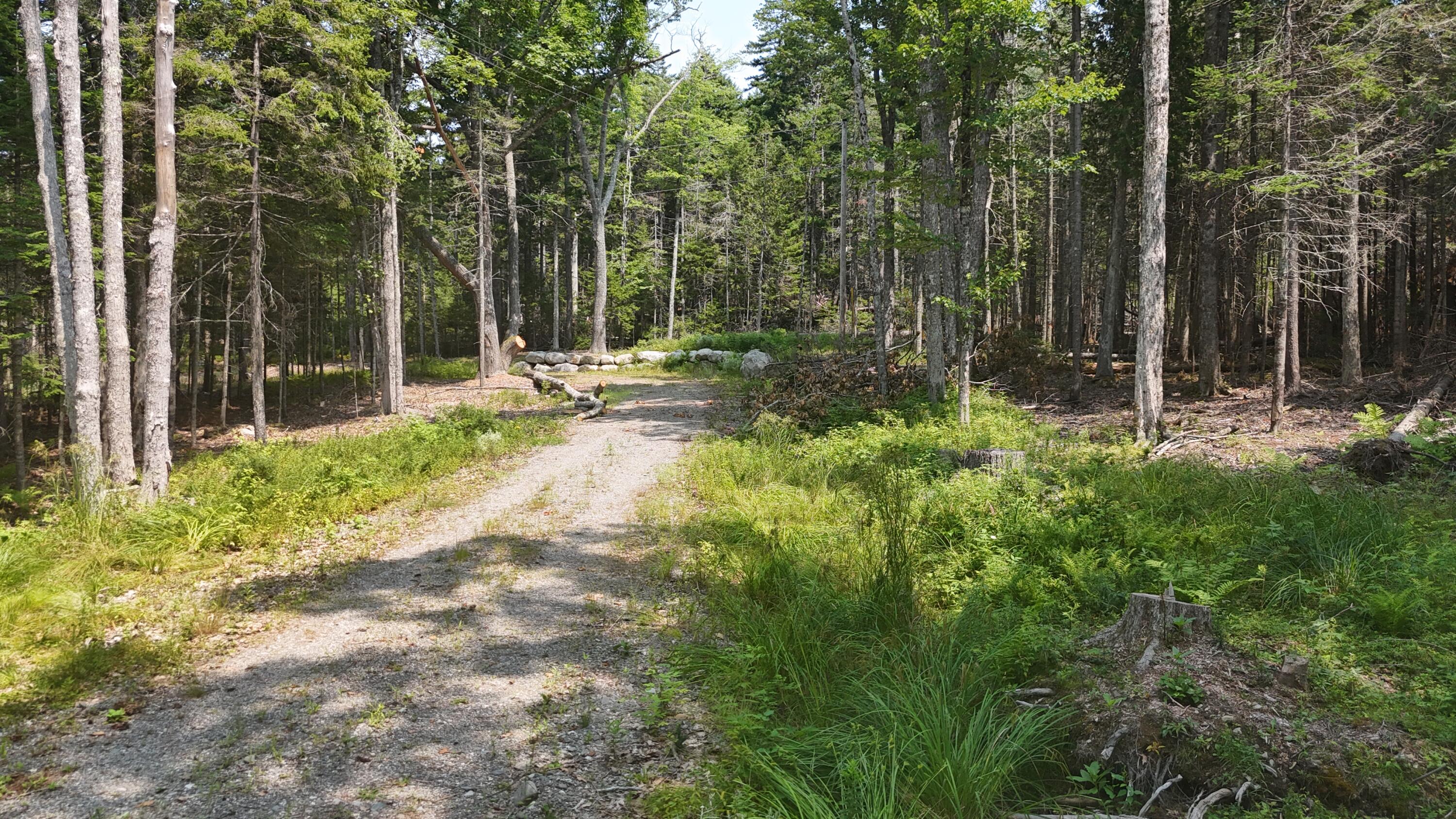 1920 Highway 1 Sullivan, ME 04664 - Photo 20 of 36 DJI_20240727125432_0145_D