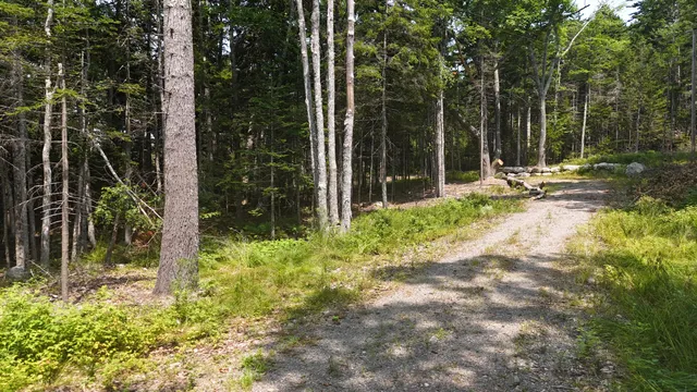 $335,000 | 1920 Highway 1, Sullivan, ME 04664