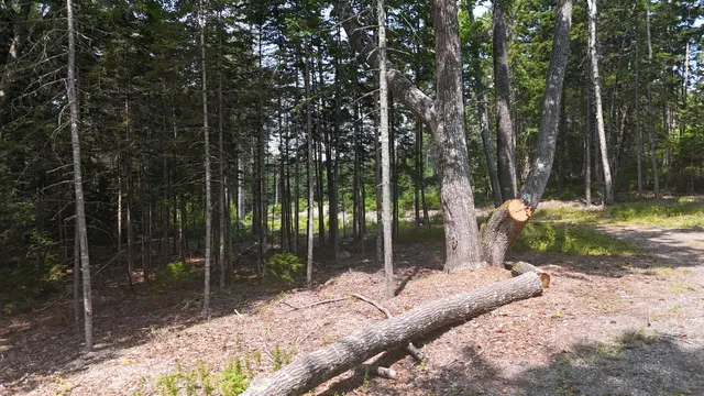 $335,000 | 1920 Highway 1, Sullivan, ME 04664